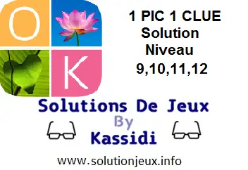 1 pic 1 clue solution niveau 9-10-11-12