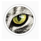 1 snapshot 1 mot solution