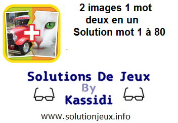 2 images 1 mot deux en un solution niveau 1 a 80