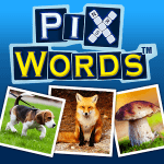 toutes les solutions de pixwords