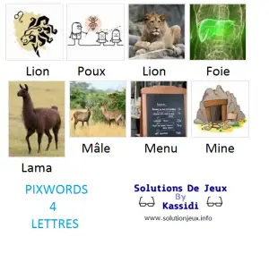 Pixwords solutions mots à 4 lettres info 10