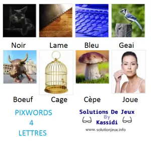 Pixwords solutions mots à 4 lettres info 2