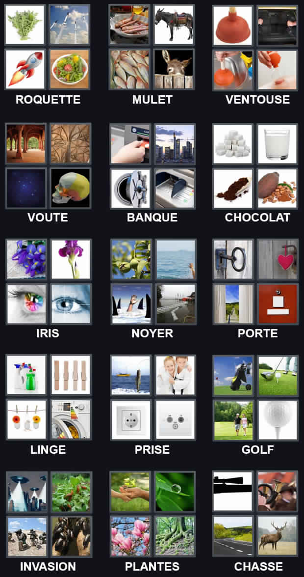 4images 1mot solution bonus 4 lettres avec boeuf