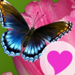 soluce 570 mots Niveau 1 tous les mots