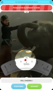 94 degres adventures poids d'un elephant d'asie