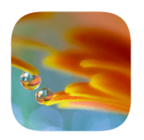 toutes les Solutions photo mots cachés