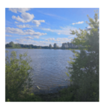 Solution 400 réponses fun