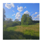 Solution 400 réponses le nouveau