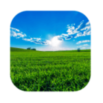 Solution Plus de 100