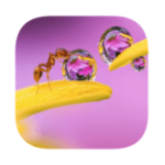 solution 130 photo mots croisés