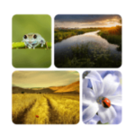 solution 20 niveaux penser 2