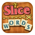 Solution Slice Words