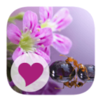 Solution 126 PMC Puzzles