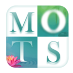 Solution Voyage des Mots