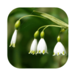 Solutions Plus de 1000