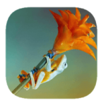 Solution 128 PMC Puzzles