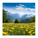 Solution 700 Mots Nouveau