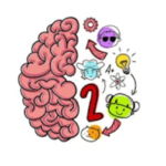 Solution Brain Test 2