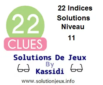 22 indices Niveau 11 Solutions