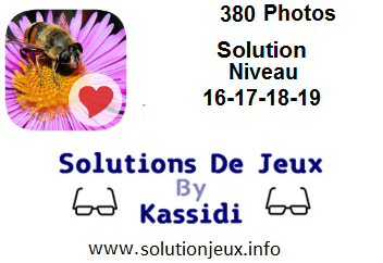 380 Photos niveau 16-17-18-19 solution