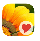 380 mots toutes les solutions et réponses