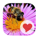 380 photos toutes les réponses