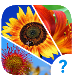 4 indices solution complète