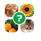 4 photos mystère allégorie solutions