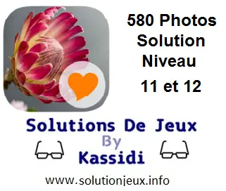 580 Photos Solution Niveau 11 et 12