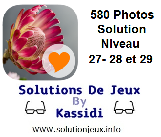 580 Photos Solution Niveau 27-28-29