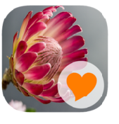 580 Photos Toutes les solutions