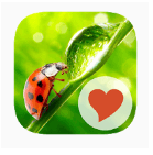 630 Mots solution complète