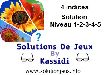 Solution 2 indices niveau 1-2-3-4-5