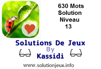 Solution 630 Mots Niveau 13