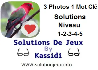3 photos 1 mot clé niveau 1-2-3-4-5 solutions
