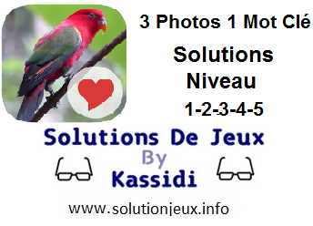 3 photos 1 mot clé niveau 1-2-3-4-5 solutions