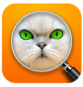 devinez la photo jeu de mots toutes les solutions