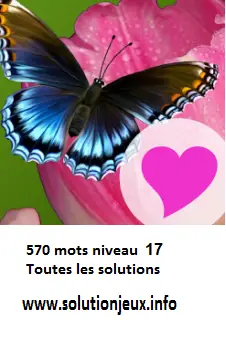 570 Mots Niveau 17 : Solutions
