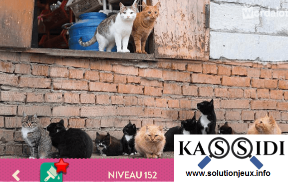 solution wordalot niveau 152