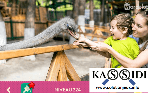 solution wordalot niveau 224