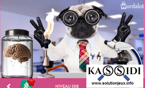 solution wordalot niveau 308