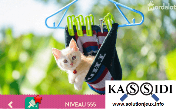solution wordalot niveau 555
