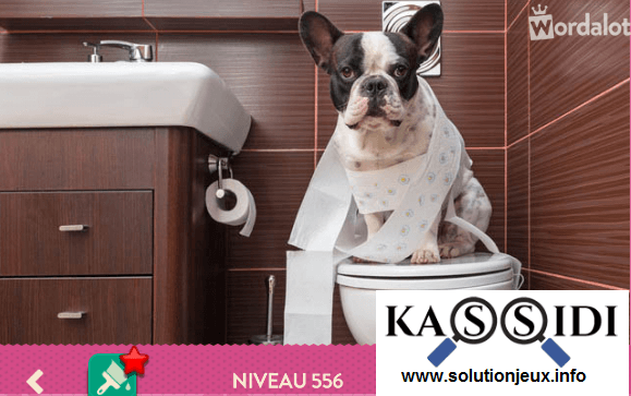 solution wordalot niveau 556
