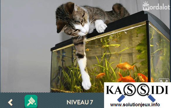 solution wordalot niveau 7